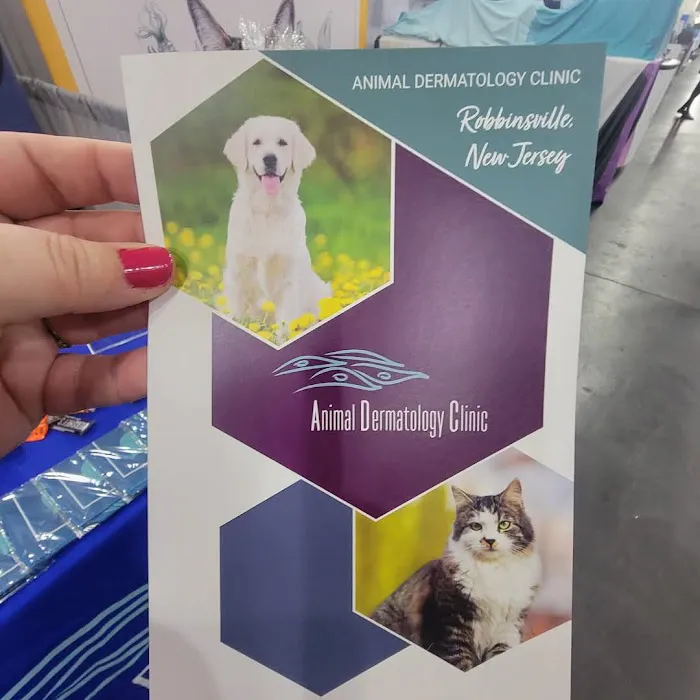 Animal Dermatology Clinic Picture 4