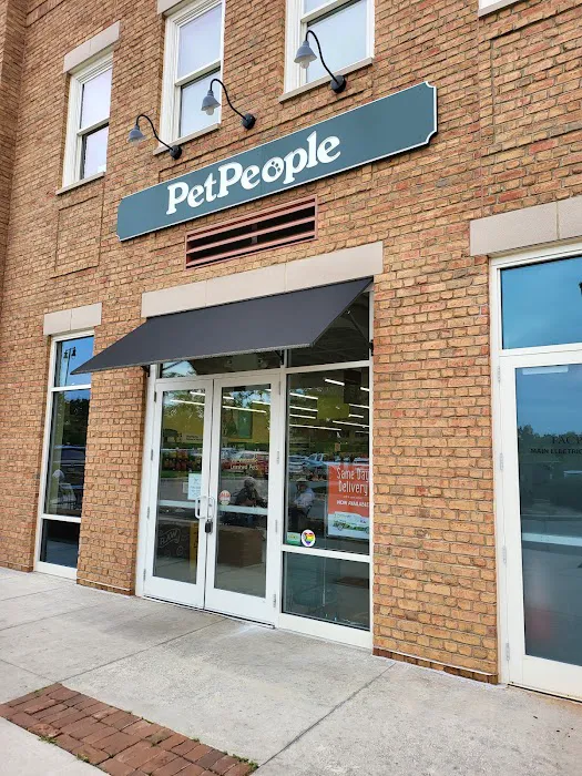 Hollywood Feed Picture 6