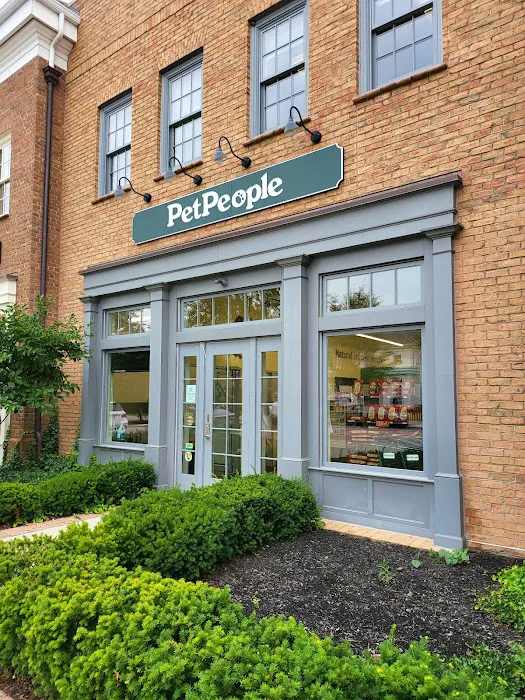 Hollywood Feed Picture 4