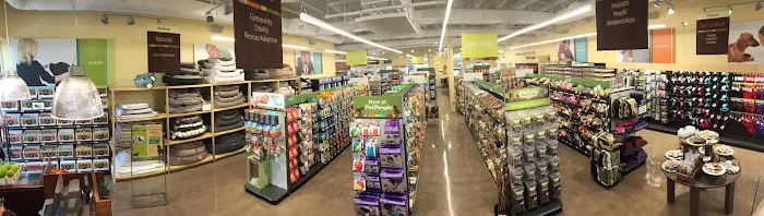 Hollywood Feed Picture 9