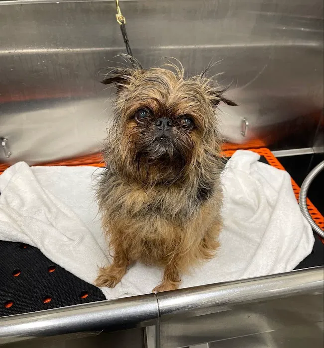 Hollywood Feed Picture 8