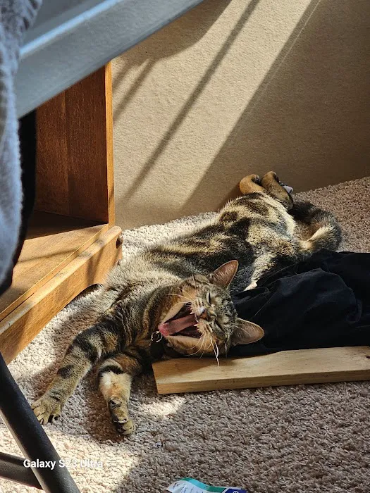 People For Animals Inc Picture 10