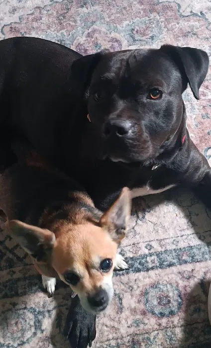 People For Animals Inc Picture 3