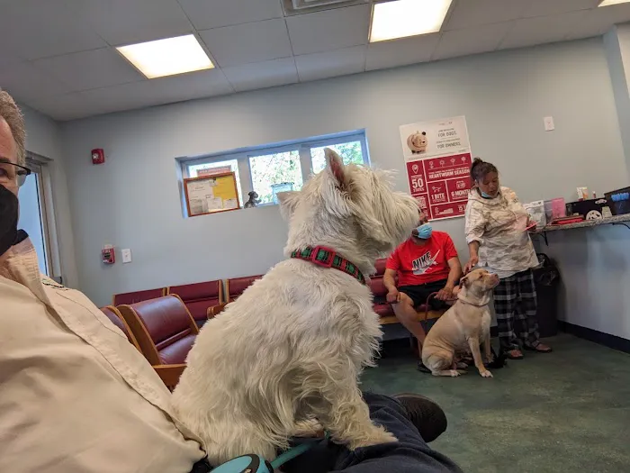 People For Animals Inc Picture 6