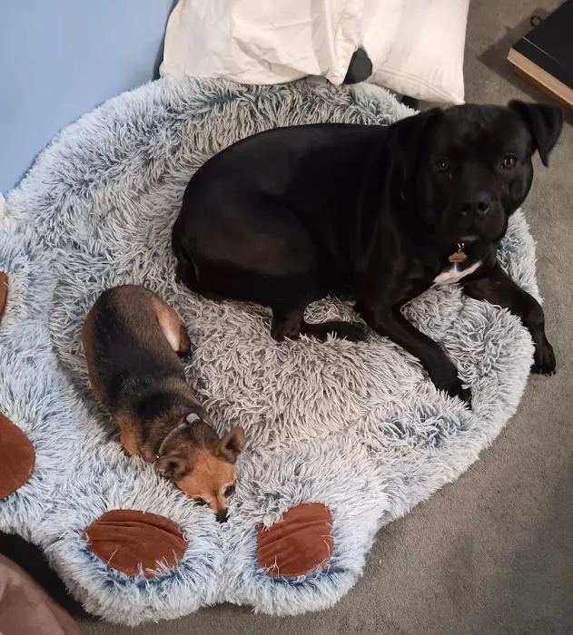 People For Animals Inc Picture 2