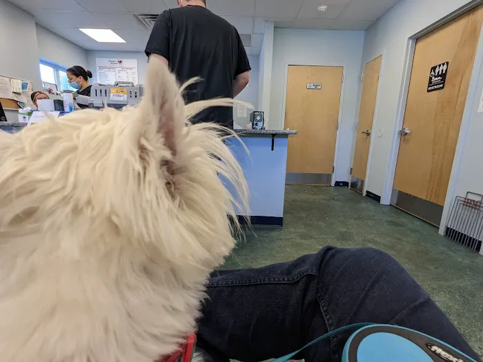 People For Animals Inc Picture 9