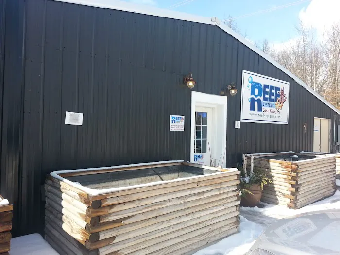 Reef Systems Coral Farm Inc Picture 3