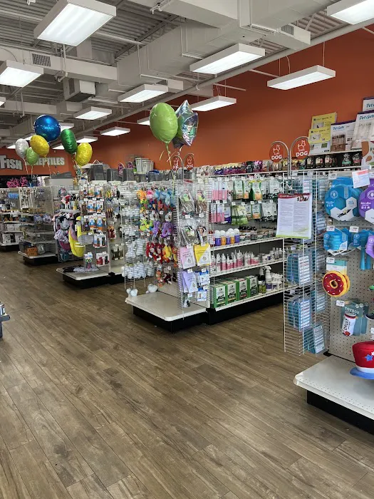 Petland Pickerington Picture 4