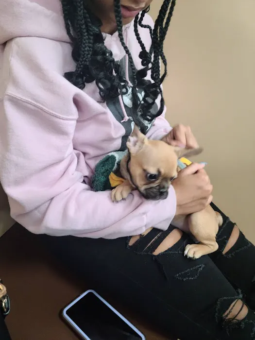 Petland Pickerington Picture 3