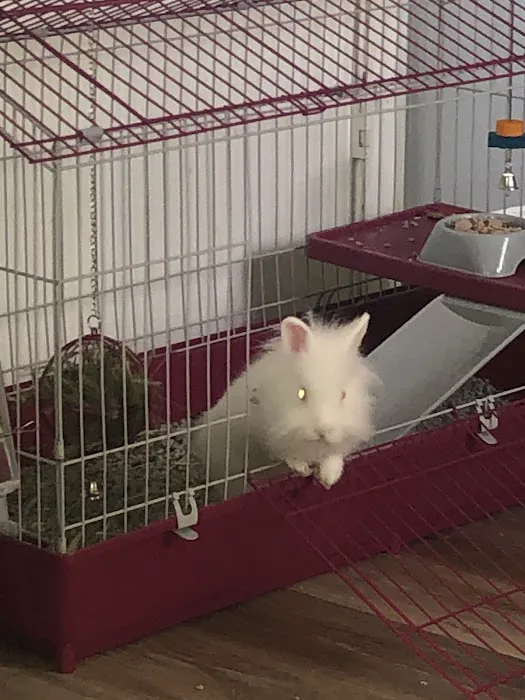 Petland Pickerington Picture 10