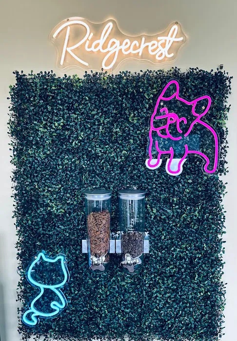 Ridgecrest Animal Hospital Picture 1