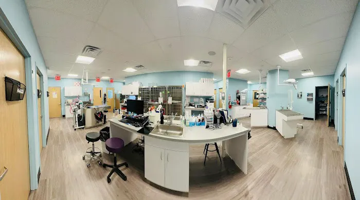 Ridgecrest Animal Hospital Picture 7