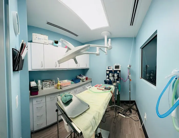 Ridgecrest Animal Hospital Picture 4