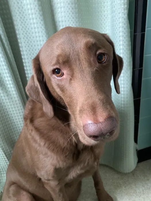 Ridgecrest Animal Hospital Picture 2