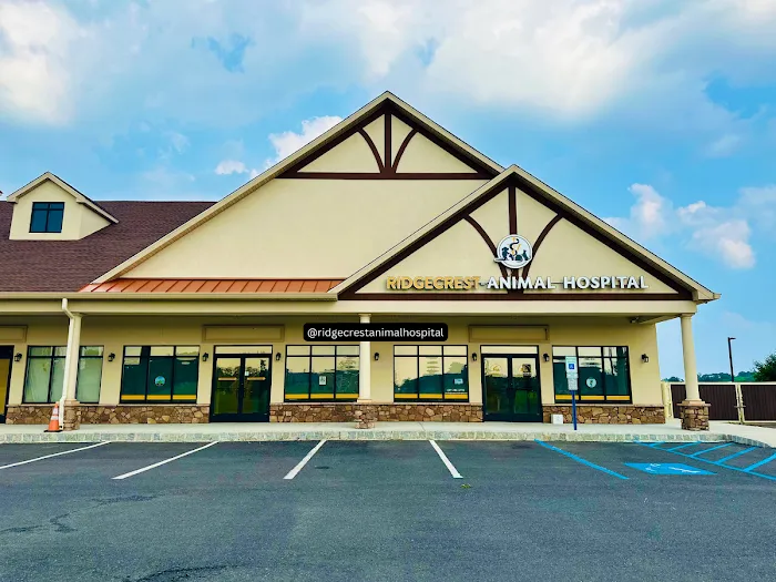 Ridgecrest Animal Hospital Picture 10