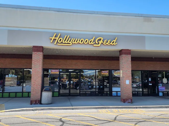 Hollywood Feed Picture 3