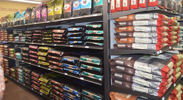 Hollywood Feed Picture 2