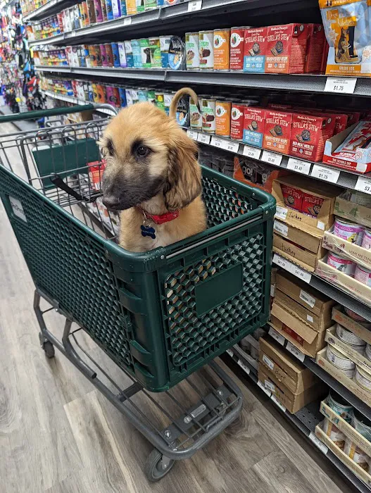 Hollywood Feed Picture 1