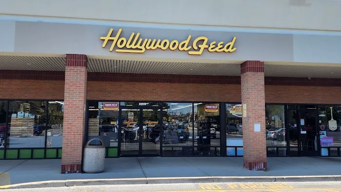 Hollywood Feed Picture 6