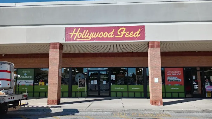 Hollywood Feed Picture 5