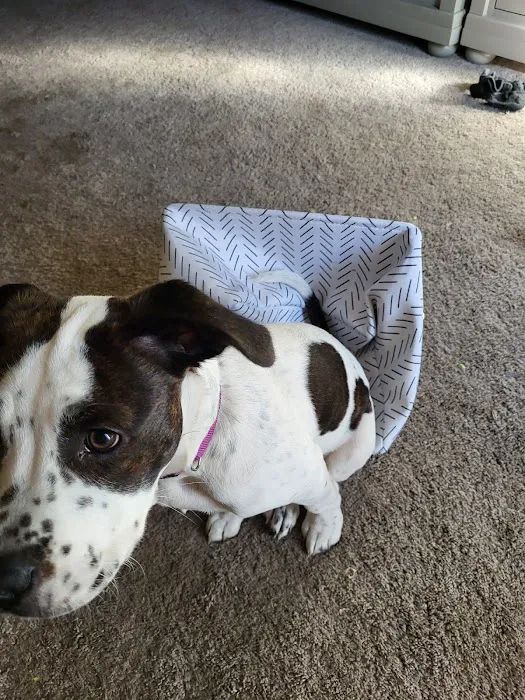 Hollywood Feed Picture 4