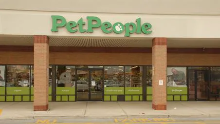 Hollywood Feed Picture 7