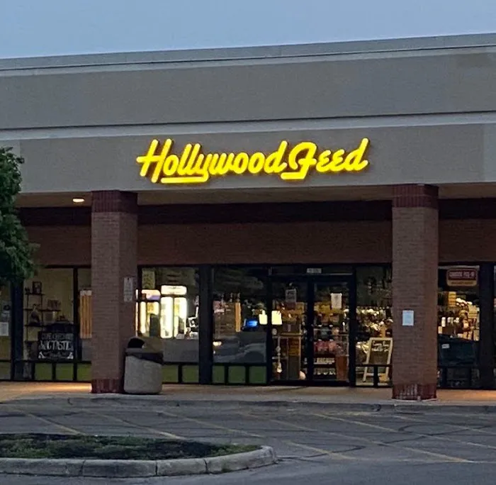 Hollywood Feed Picture 9