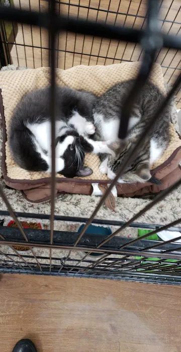 Petland Grove City Picture 5