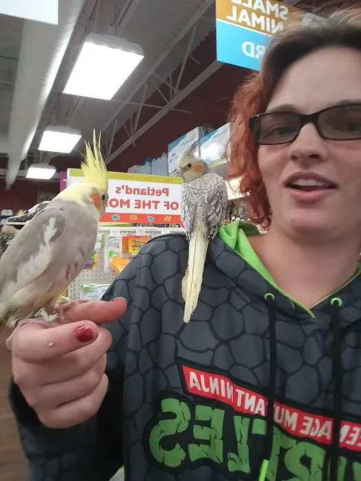 Petland Grove City Picture 2