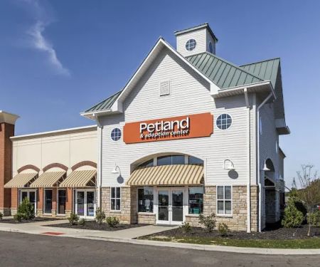 Petland Grove City