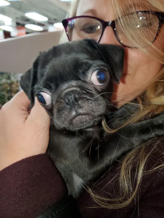 Petland Grove City Picture 7