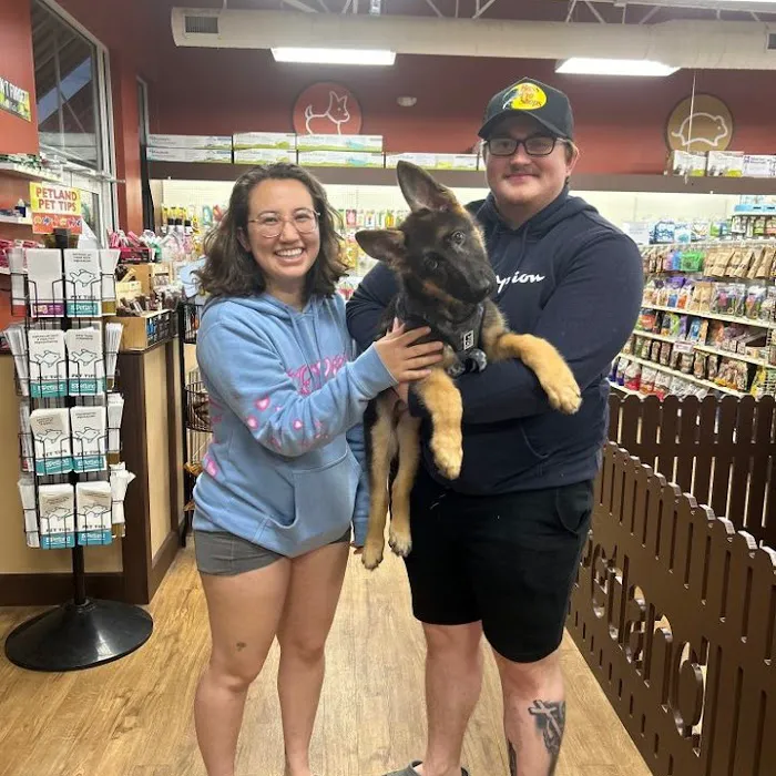 Petland Grove City Picture 8