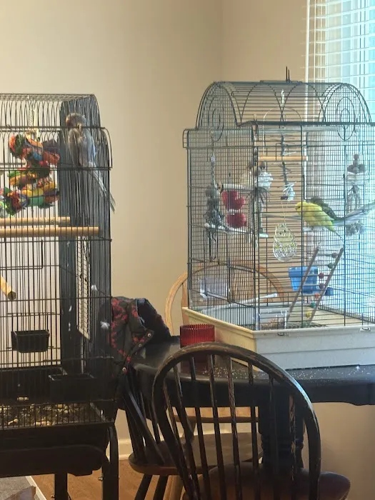 Petland Grove City Picture 6