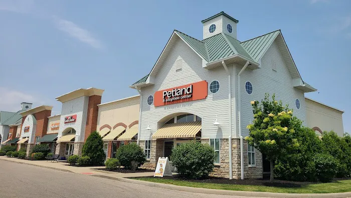 Petland Grove City Picture 10