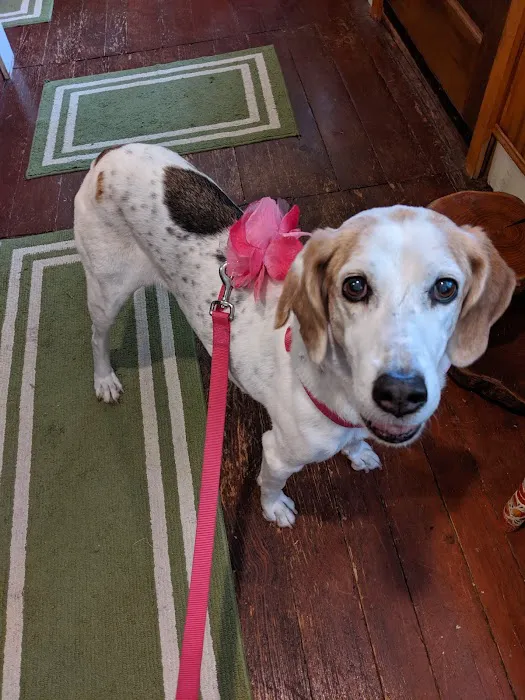 Veterinary Clinic of Imlaystown Picture 2