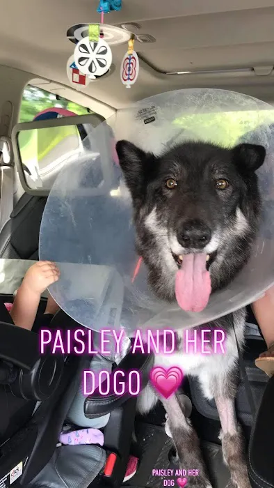 Veterinary Clinic of Imlaystown Picture 1