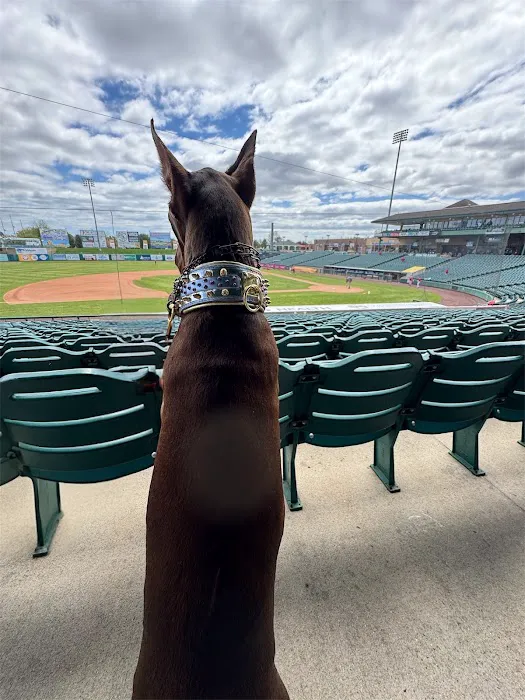 Millstone Animal Hospital Picture 1