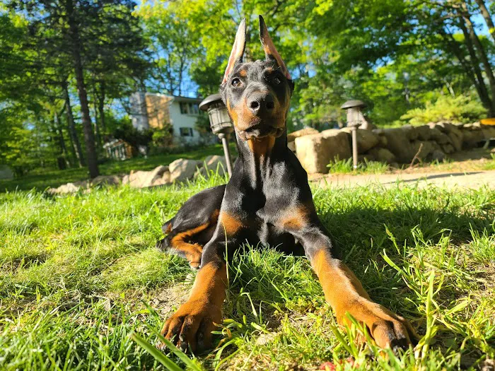 Millstone Animal Hospital Picture 9