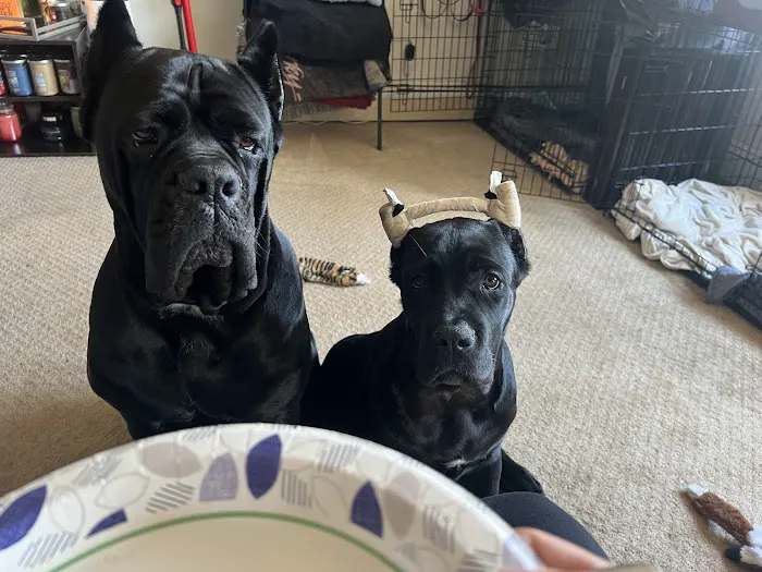 Millstone Animal Hospital Picture 3