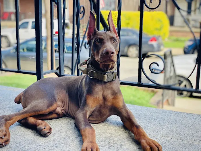 Millstone Animal Hospital Picture 7