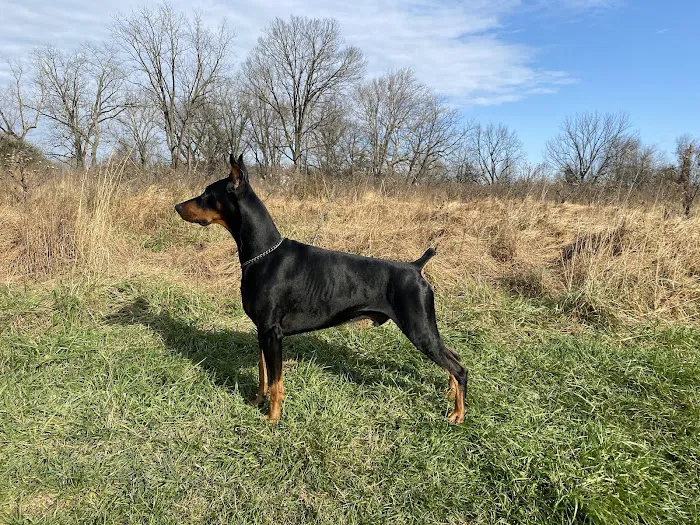 Millstone Animal Hospital Picture 6