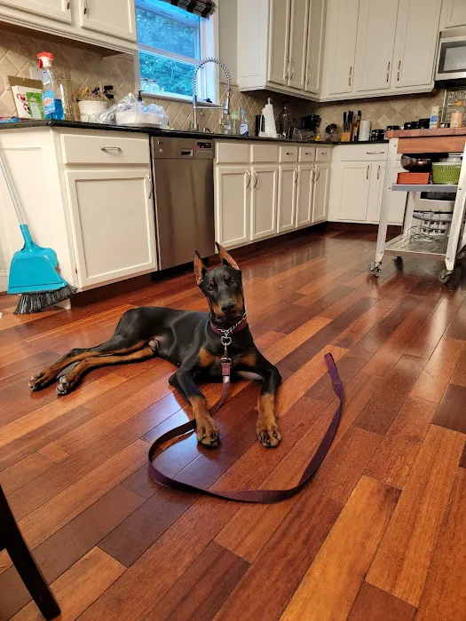 Millstone Animal Hospital Picture 8