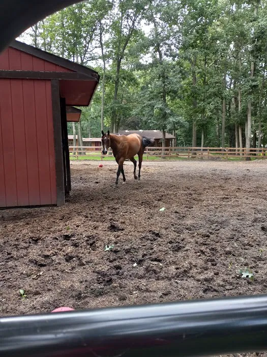 Millstone Animal Hospital Picture 5