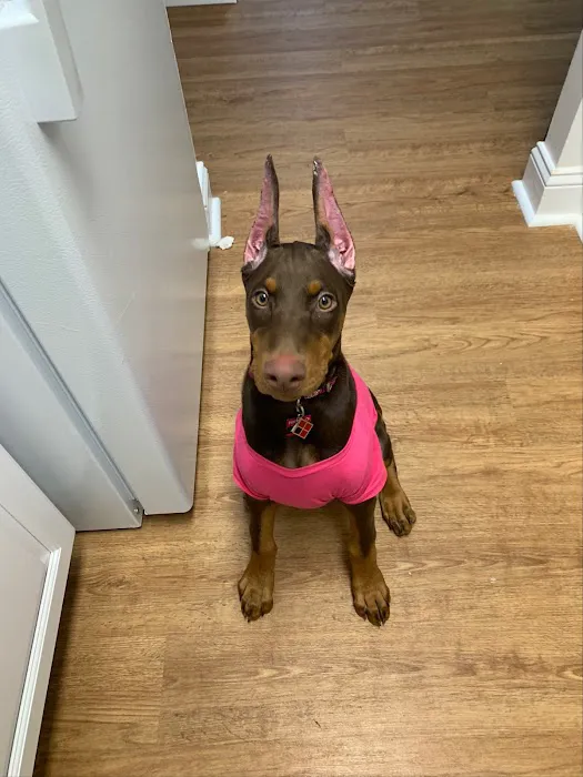 Millstone Animal Hospital Picture 4