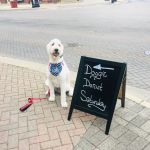 Nom Nom Nom Dog Bakery CW