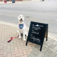 Nom Nom Nom Dog Bakery CW ico