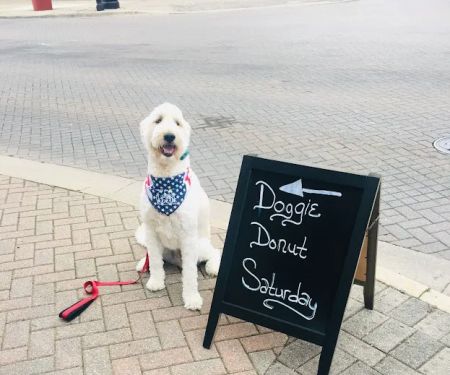 Nom Nom Nom Dog Bakery CW