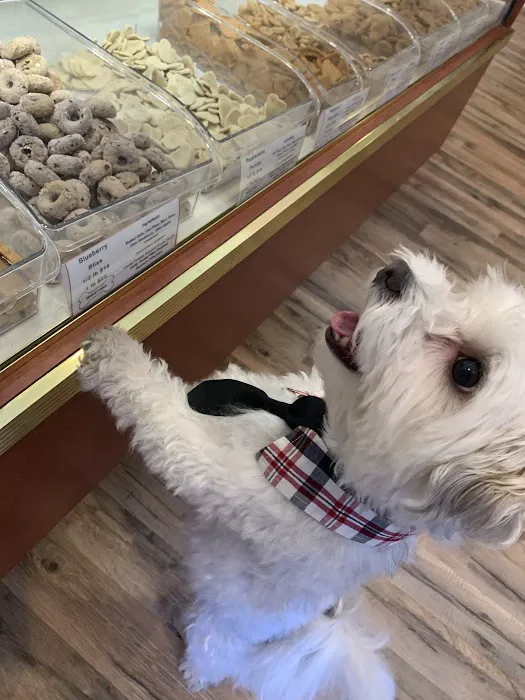 Nom Nom Nom Dog Bakery CW Picture 7