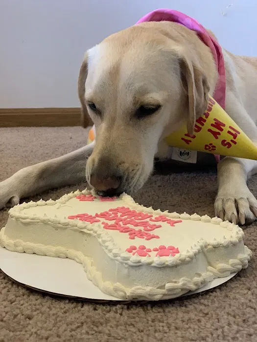 Nom Nom Nom Dog Bakery CW Picture 4