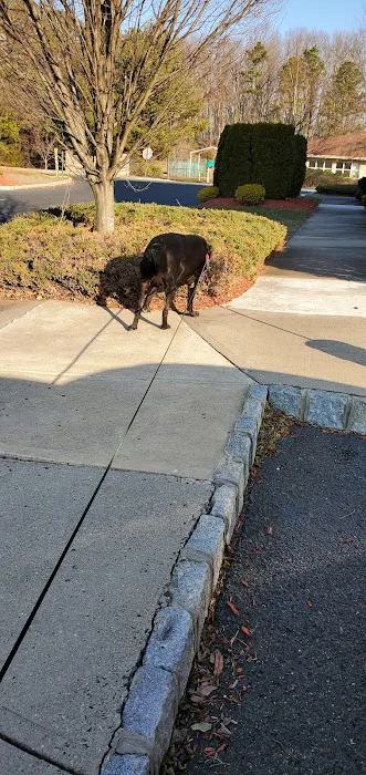 All Fur Paws Animal Hospital Picture 4